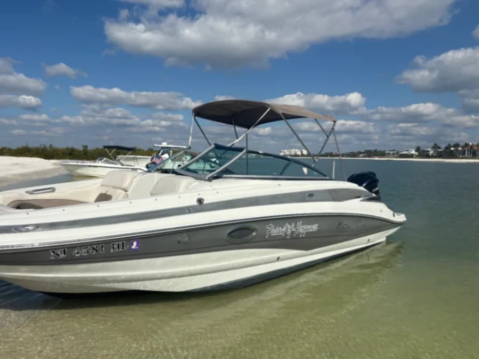 Private boat tour in Naples with dolphins and shelling