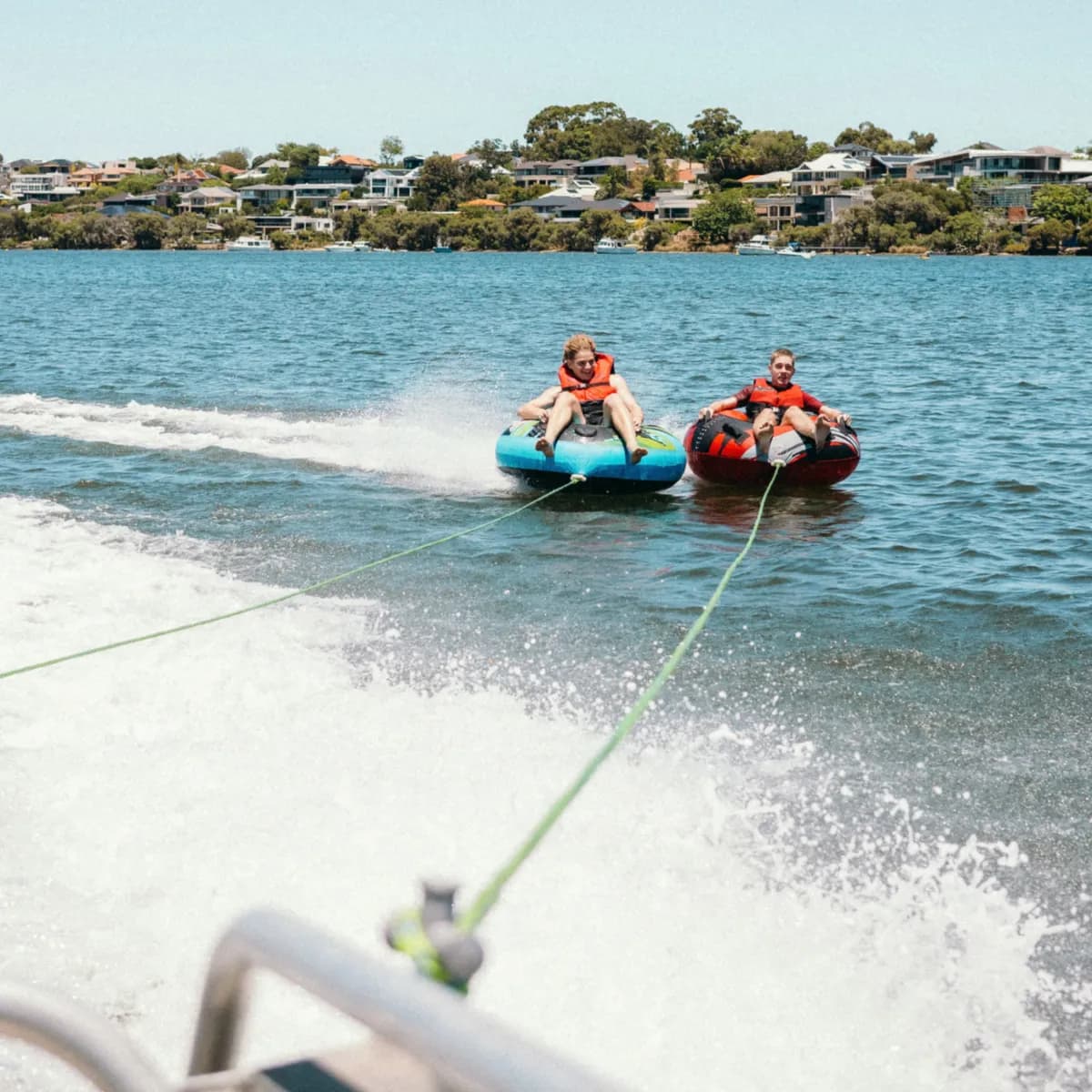 Bow rider boat hire in Shark Bay